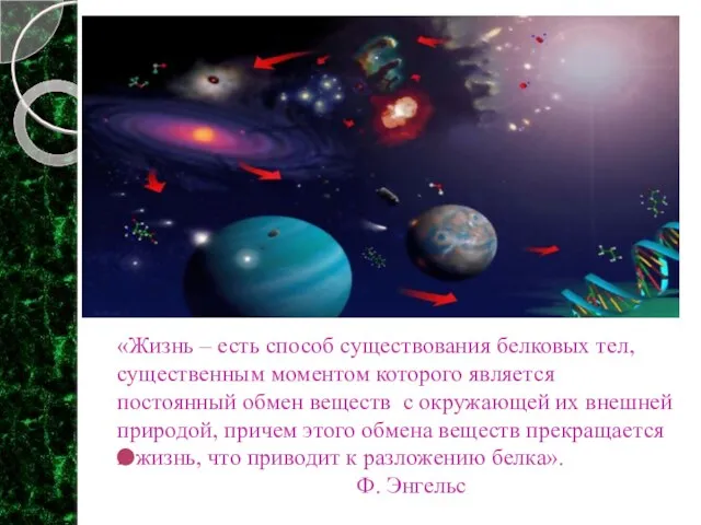 «Жизнь – есть способ существования белковых тел, существенным моментом которого является