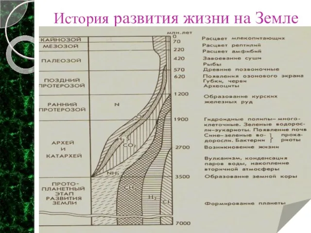 История развития жизни на Земле