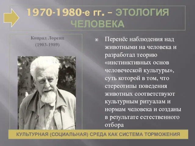 1970-1980-е гг. – ЭТОЛОГИЯ ЧЕЛОВЕКА Конрад Лоренц (1903-1989) Перенёс наблюдения над