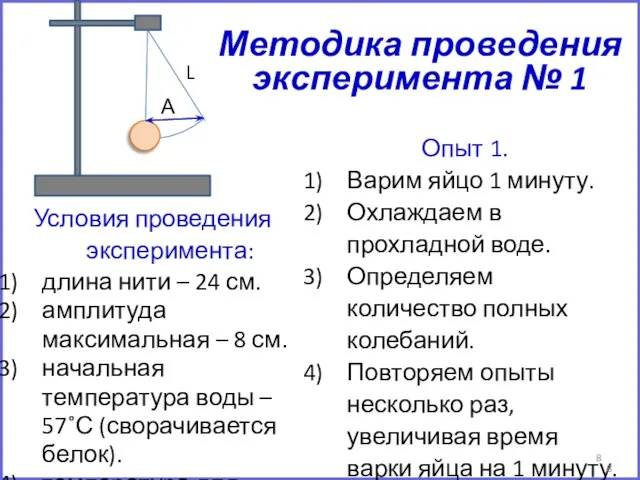 Методика проведения эксперимента № 1 Опыт 1. Варим яйцо 1 минуту.