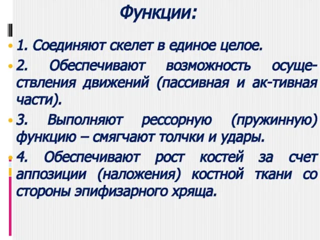 Функции: 1. Соединяют скелет в единое целое. 2. Обеспечивают возможность осуще-ствления