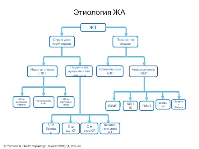 Этиология ЖА ЖТ Структурно норм сердце Поражение сердца Идиопатическая ЖТ Первичный