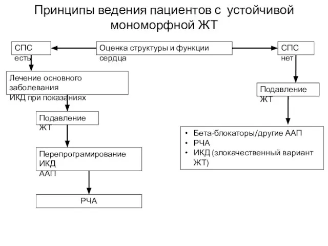 Принципы ведения пациентов с устойчивой мономорфной ЖТ Оценка структуры и функции