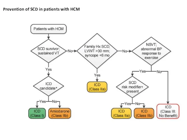 Prevention of SCD in patients with HCM