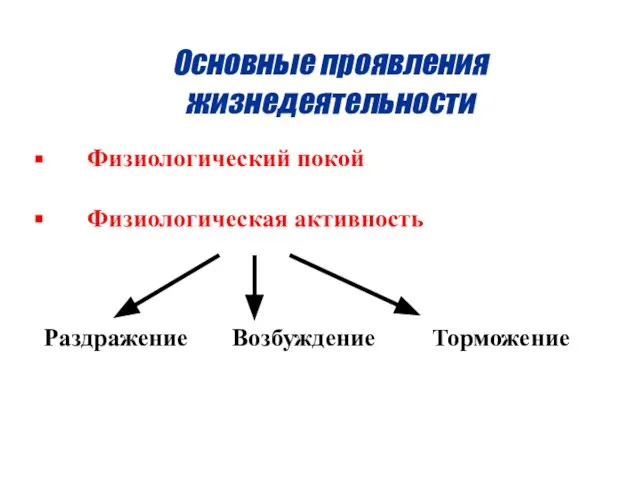 Основные проявления жизнедеятельности Физиологический покой Физиологическая активность Раздражение Возбуждение Торможение