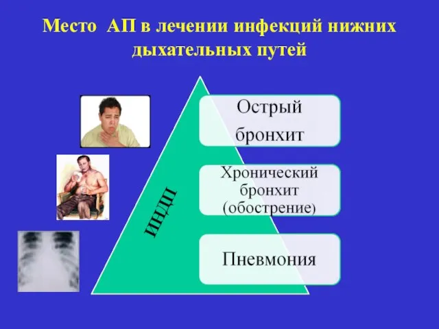 Место АП в лечении инфекций нижних дыхательных путей ИНДП