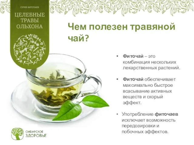 Чем полезен травяной чай? Фиточай – это комбинация нескольких лекарственных растений.