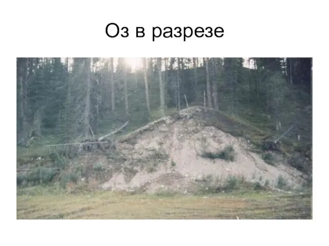 Оз в разрезе