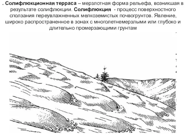 . Солифлюкционная терраса – мерзлотная форма рельефа, возникшая в результате солифлюкции.