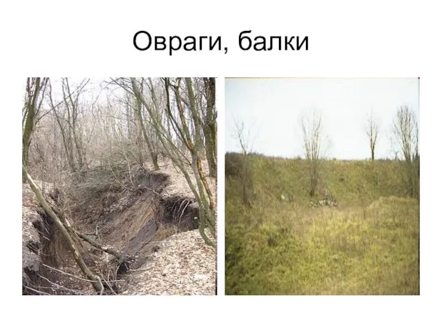 Овраги, балки