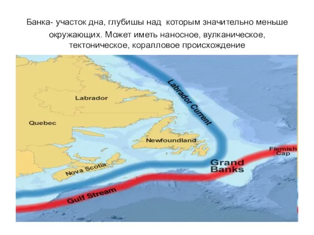 Банка- участок дна, глубишы над которым значительно меньше окружающих. Может иметь наносное, вулканическое, тектоническое, коралловое происхождение