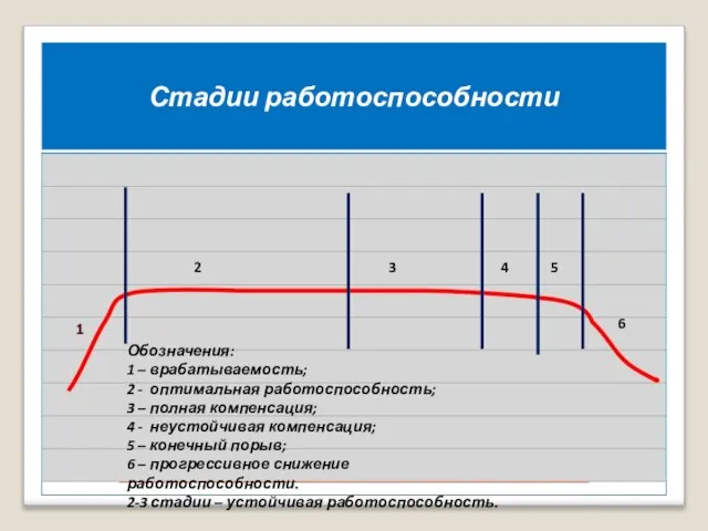 3 Стадии работоспособности Обозначения: 1 – врабатываемость; 2 - оптимальная работоспособность;