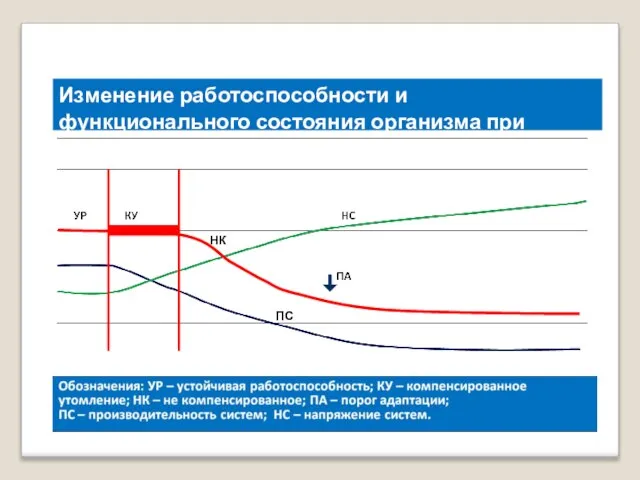 НК ПС Изменение работоспособности и функционального состояния организма при утомлении