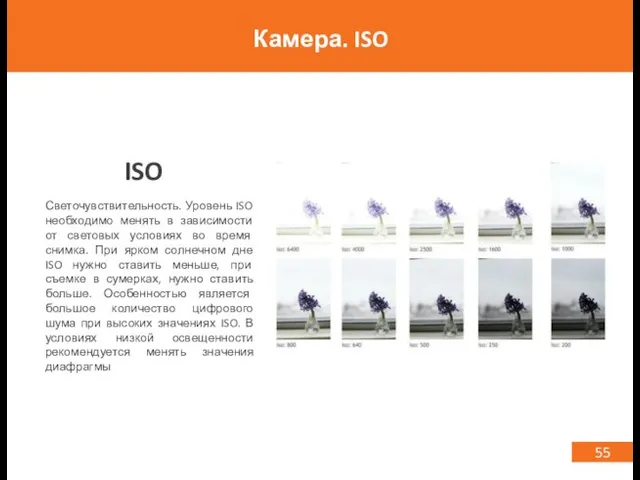 55 Камера. ISO ISO Светочувствительность. Уровень ISO необходимо менять в зависимости