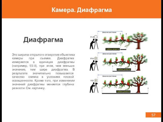 57 Камера. Диафрагма Диафрагма Это ширина открытого отверстия объектива камеры при