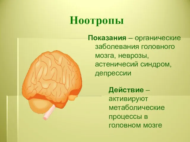 Ноотропы Показания – органические заболевания головного мозга, неврозы, астеничесий синдром, депрессии