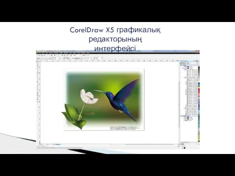 CorelDraw X5 графикалық редакторының интерфейсі