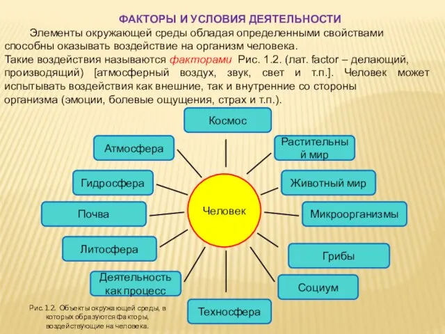 ФАКТОРЫ И УСЛОВИЯ ДЕЯТЕЛЬНОСТИ Элементы окружающей среды обладая определенными свойствами способны