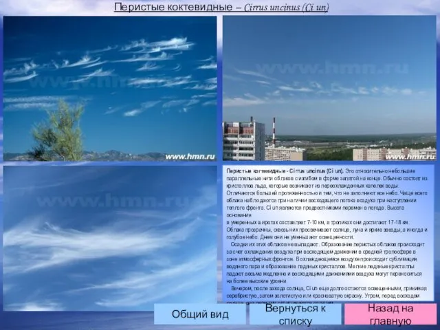 Перистые коктевидные – Cirrus uncinus (Ci un) Перистые когтевидные - Cirrus