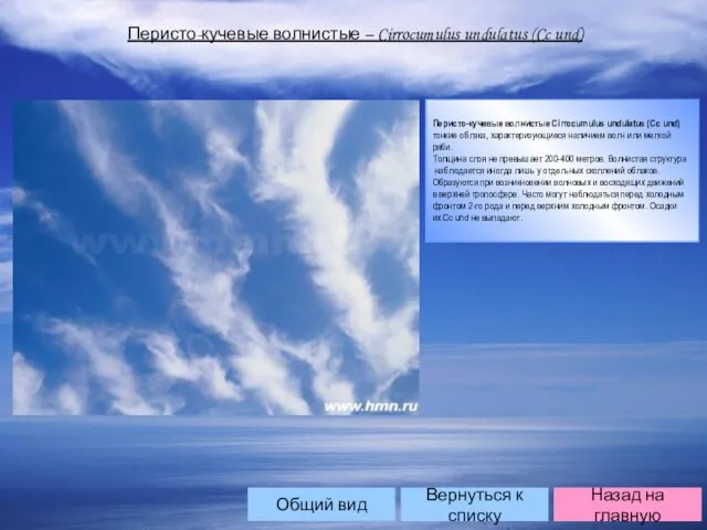 Перисто-кучевые волнистые – Cirrocumulus undulatus (Cc und) Перисто-кучевые волнистые Cirrocumulus undulatus