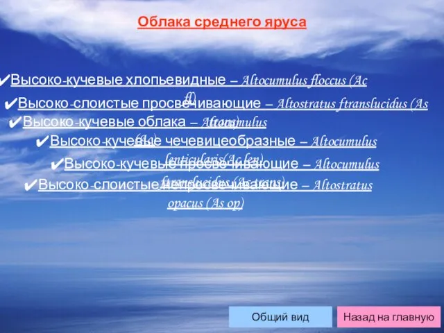 Облака среднего яруса Высоко-кучевые хлопьевидные – Altocumulus floccus (Ac fl) Высоко-слоистые