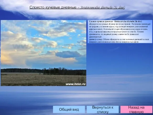 Слоисто-кучевые дневные – Stratocumulus diurnalis (Sc diur) Слоисто-кучевые дневные - Stratocumulus