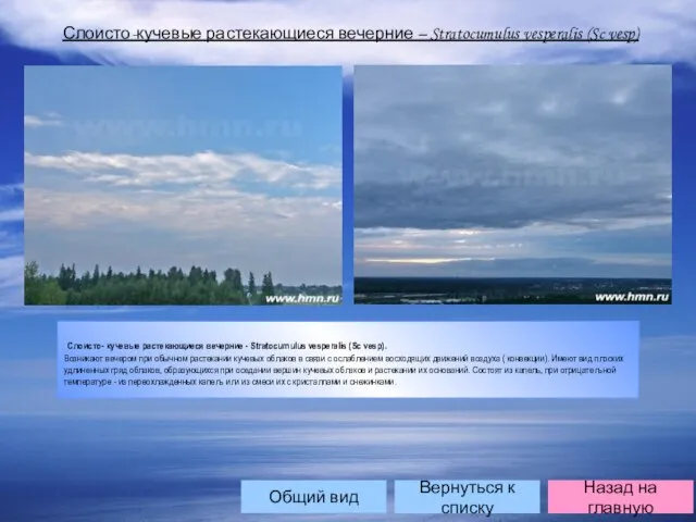 Слоисто-кучевые растекающиеся вечерние – Stratocumulus vesperalis (Sc vesp) Слоисто- кучевые растекающиеся