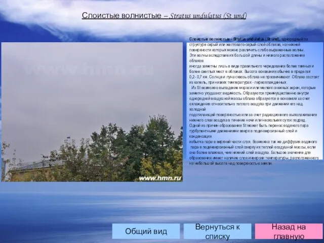 Слоистые волнистые – Stratus undulatus (St und) Слоистые волнистые - Stratus