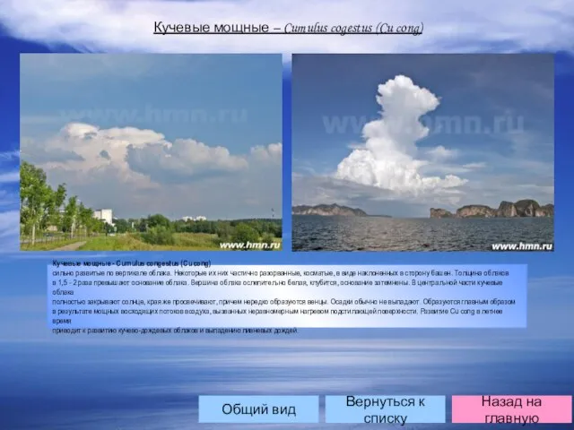 Вернуться к списку Назад на главную Кучевые мощные – Cumulus cogestus