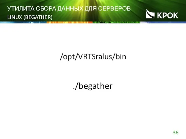 УТИЛИТА СБОРА ДАННЫХ ДЛЯ СЕРВЕРОВ LINUX (BEGATHER) /opt/VRTSralus/bin ./begather