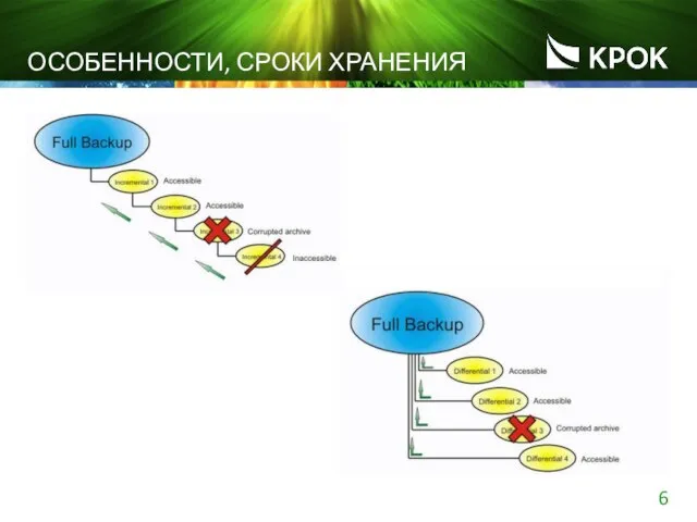 ОСОБЕННОСТИ, СРОКИ ХРАНЕНИЯ