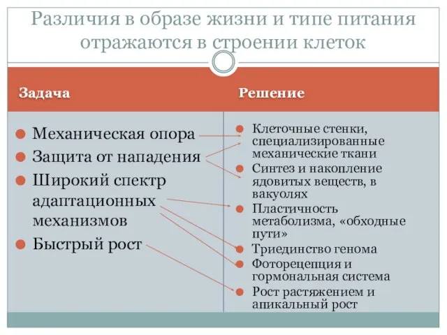 Задача Решение Механическая опора Защита от нападения Широкий спектр адаптационных механизмов