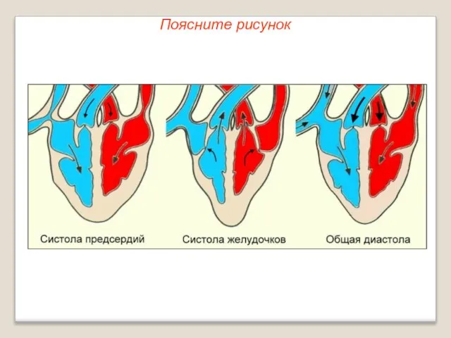 Поясните рисунок