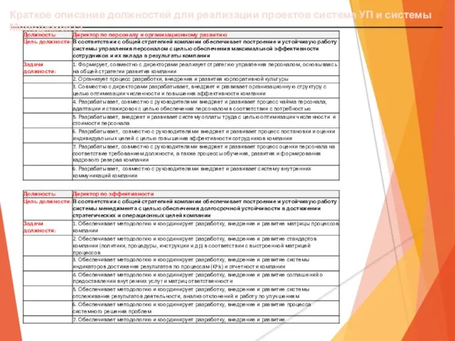 Краткое описание должностей для реализации проектов система УП и системы Менеджмента