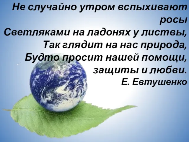 Не случайно утром вспыхивают росы Светляками на ладонях у листвы, Так