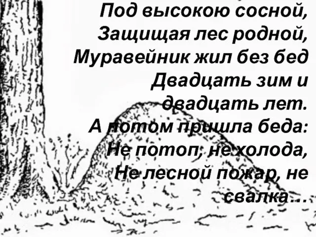 Под высокою сосной, Защищая лес родной, Муравейник жил без бед Двадцать