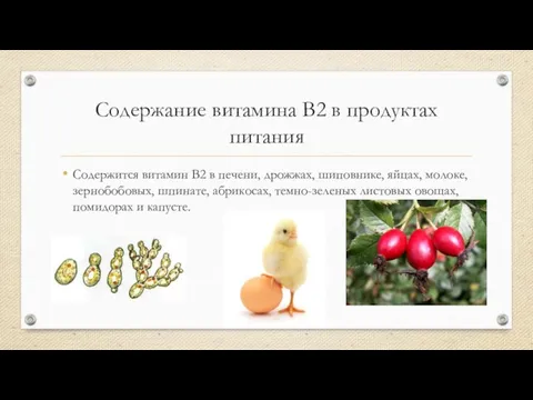 Содержание витамина B2 в продуктах питания Содержится витамин B2 в печени,