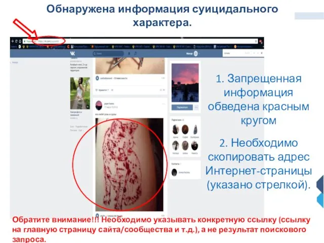 Обнаружена информация суицидального характера. 1. Запрещенная информация обведена красным кругом 2.
