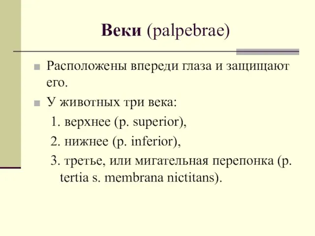 Веки (palpebrae) Расположены впереди глаза и защищают его. У животных три