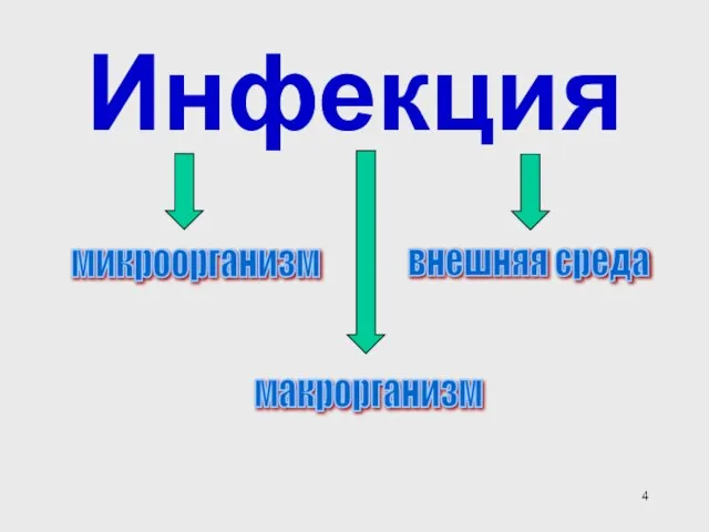 Инфекция микроорганизм внешняя среда макрорганизм