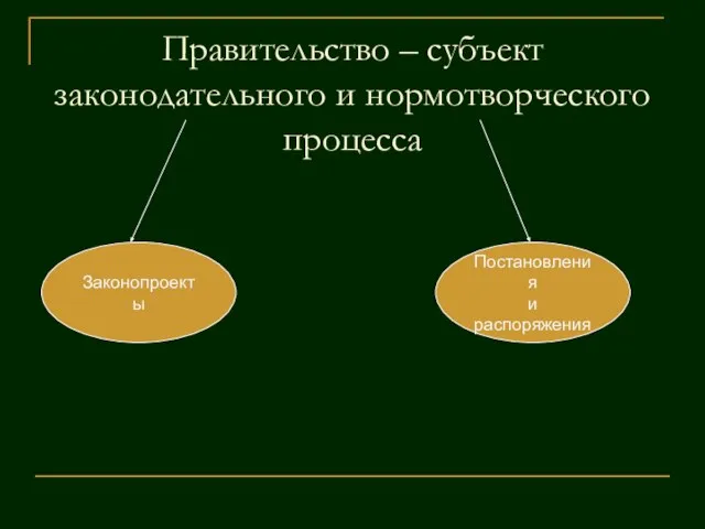 Правительство – субъект законодательного и нормотворческого процесса Законопроекты Постановления и распоряжения