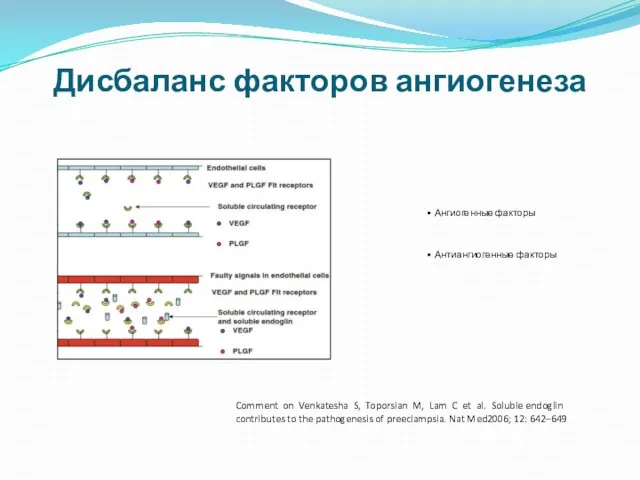 Дисбаланс факторов ангиогенеза Comment on Venkatesha S, Toporsian M, Lam C