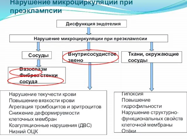 Нарушение микроциркуляции при преэклампсии Дисфункция эндотелия Ткани, окружающие сосуды Нарушение микроциркуляции