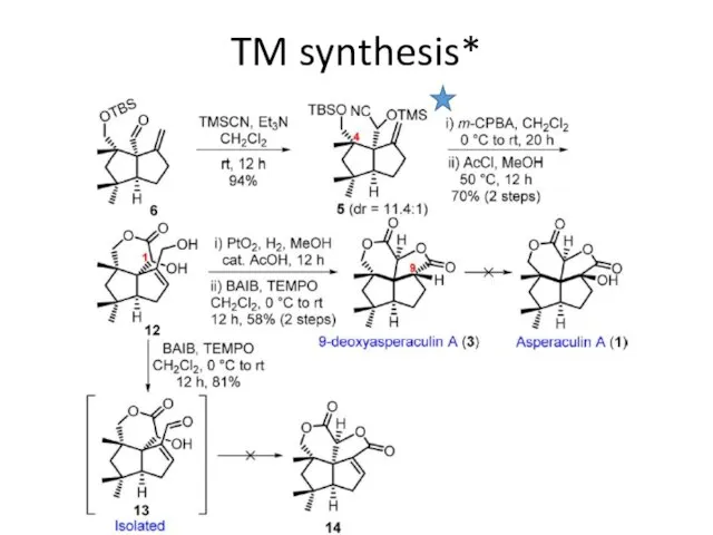 TM synthesis*