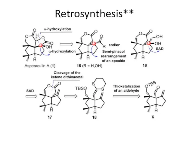 Retrosynthesis**