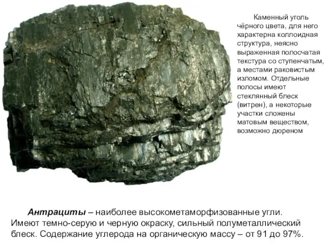 Каменный уголь чёрного цвета, для него характерна коллоидная структура, неясно выраженная