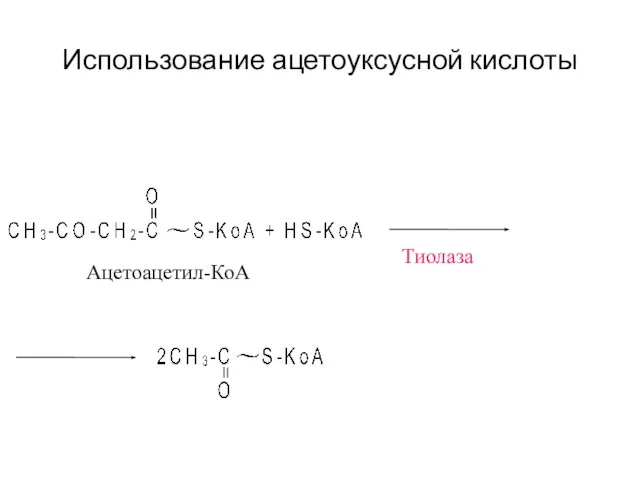 Использование ацетоуксусной кислоты Тиолаза Ацетоацетил-КоА