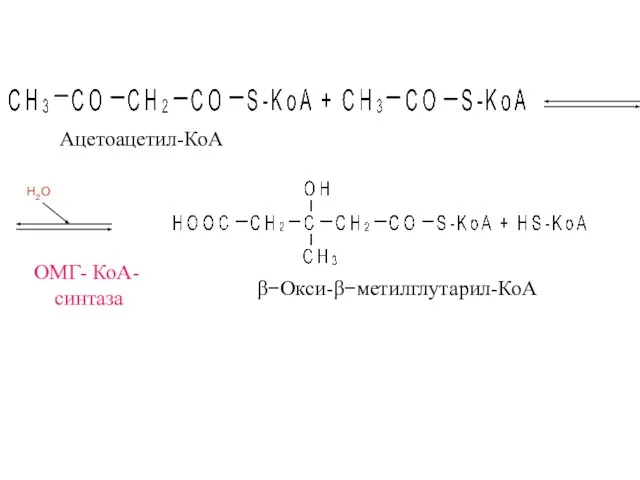 ОМГ- КоА- синтаза β−Окси-β−метилглутарил-КоА Ацетоацетил-КоА H2O