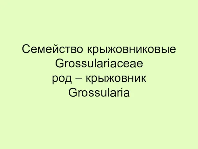 Семейство крыжовниковые Grossulariaceae род – крыжовник Grossularia