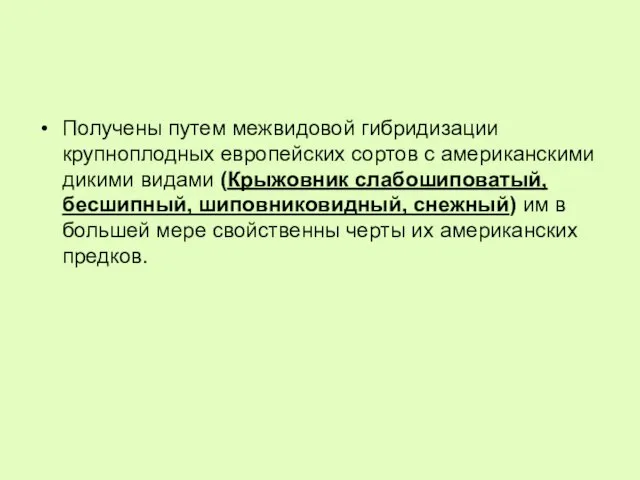 Получены путем межвидовой гибридизации крупноплодных европейских сортов с американскими дикими видами